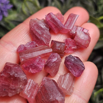 Natural Pink Tourmaline Crystal with Striations, Raw Raspberry Pink Tourmaline Specimen from Brazil