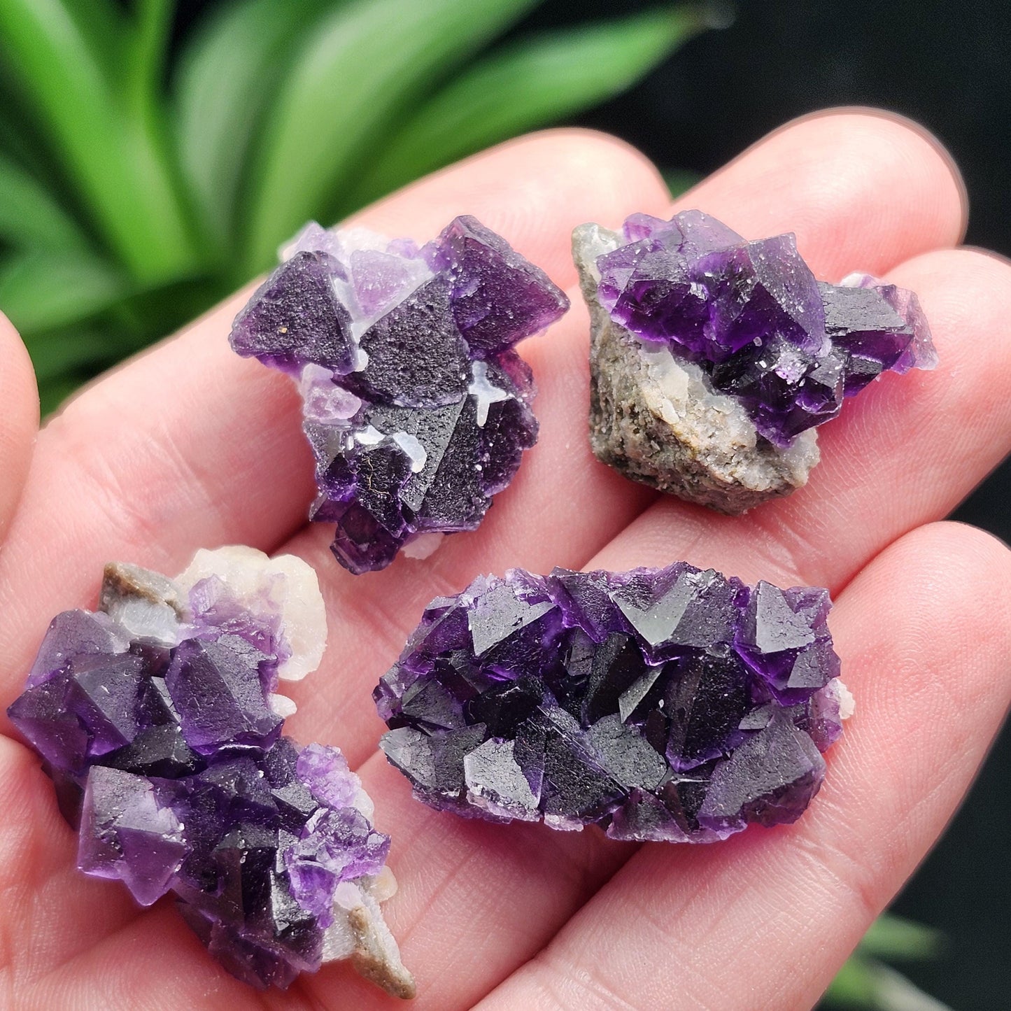 Cubic Purple Fluorite Cluster: UV Reactive, Violet Fluorite Mineral Specimen