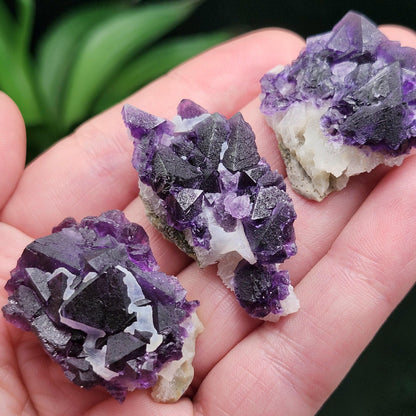 Cubic Purple Fluorite Cluster: UV Reactive, Violet Fluorite Mineral Specimen