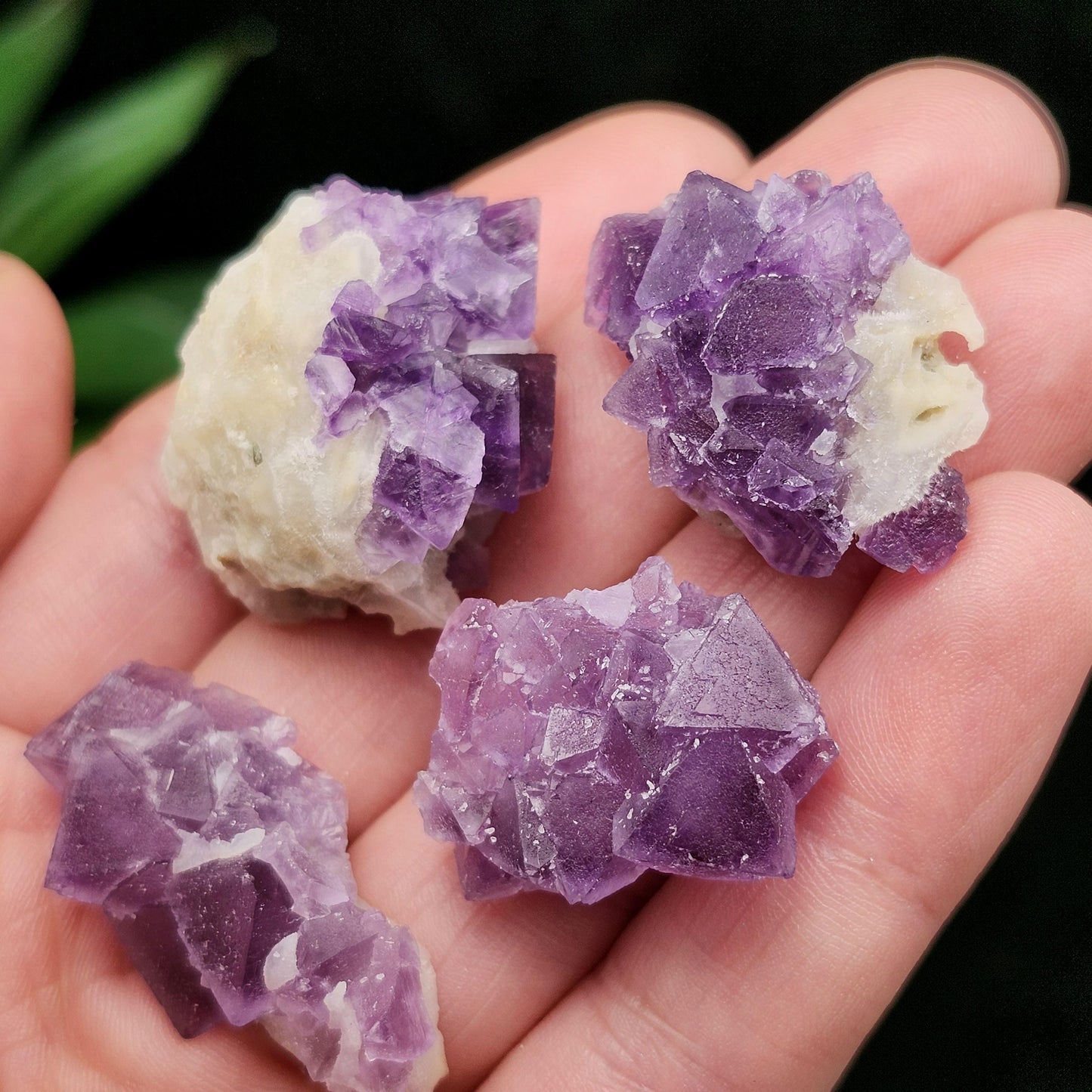 Lavender Purple Fluorite Cluster: UV Reactive, Fluorite with Calcite Mineral Specimen