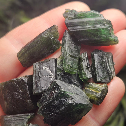 Chrome Green Tourmaline Crystal, Raw Natural Tourmaline from Brazil, Gem Quality Specimen