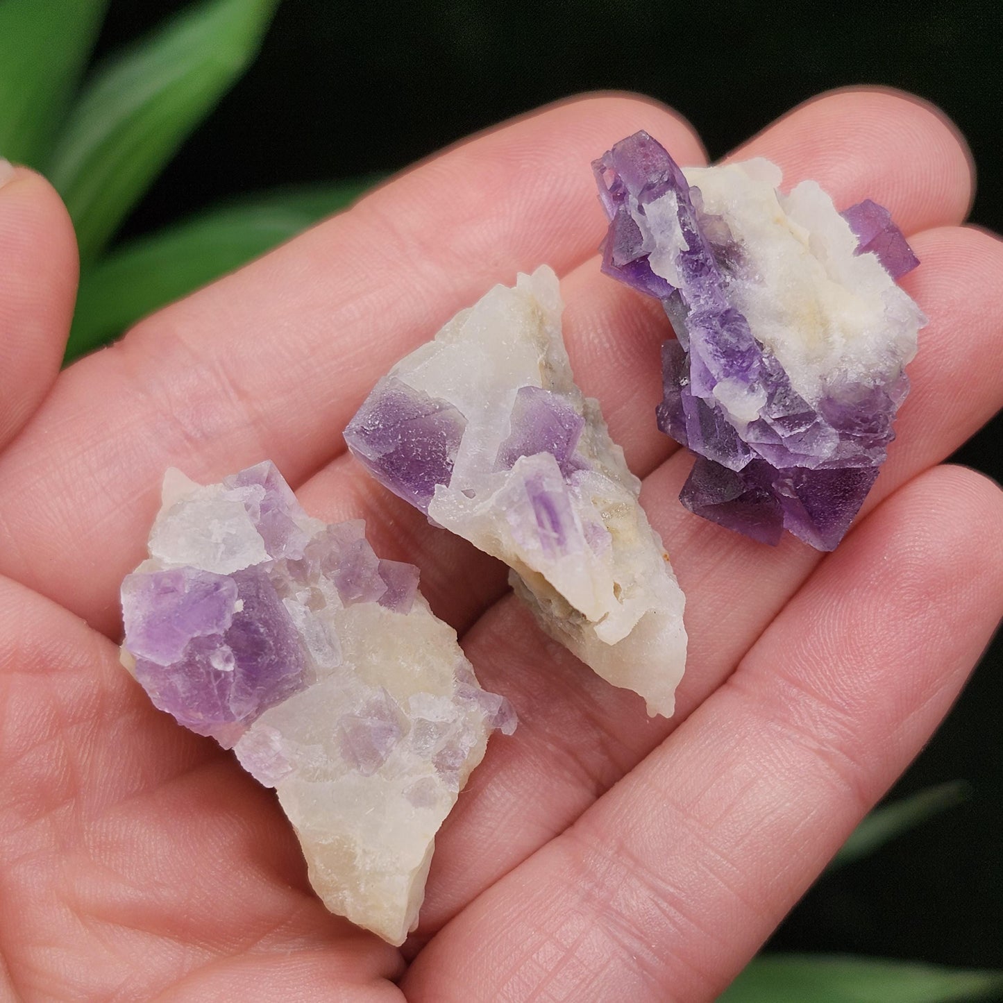 Lavender Purple Fluorite Cluster: UV Reactive, Fluorite with Calcite Mineral Specimen