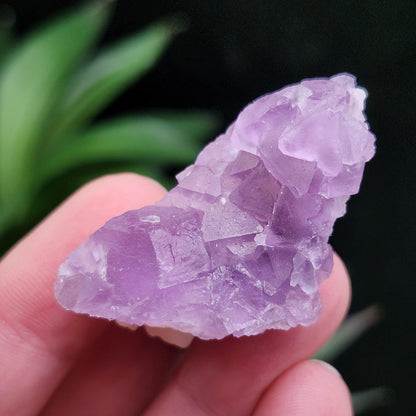 Lavender Purple Fluorite Cluster: UV Reactive, Fluorite with Calcite Mineral Specimen