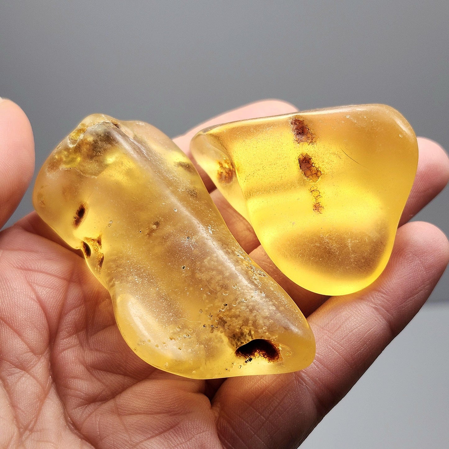 Polished Amber Specimen, Colombian Young Amber, Copal Fossil