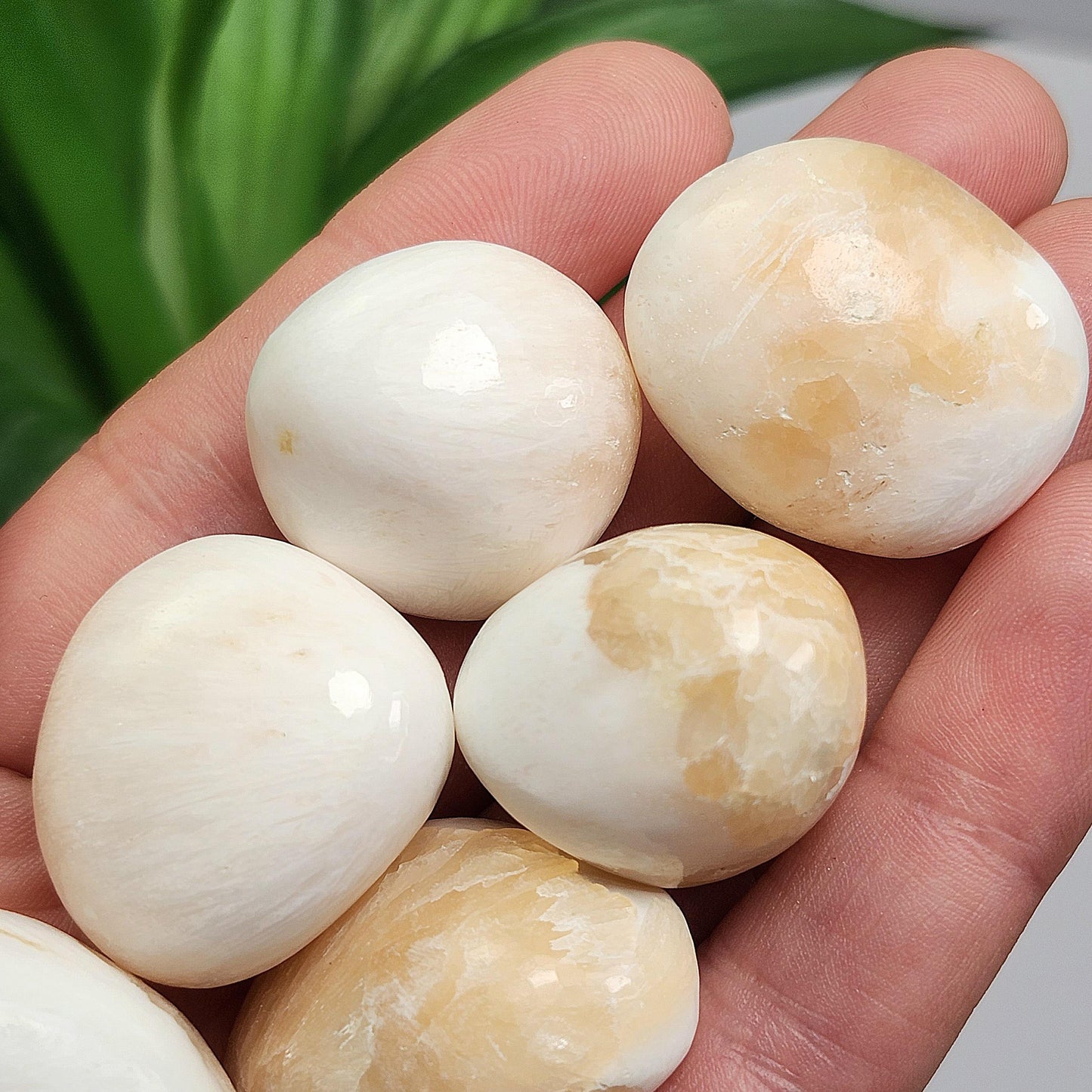 Scolecite with Pink Stilbite Crystal from India, Scolecite Stilbite Polished Tumbled Stone