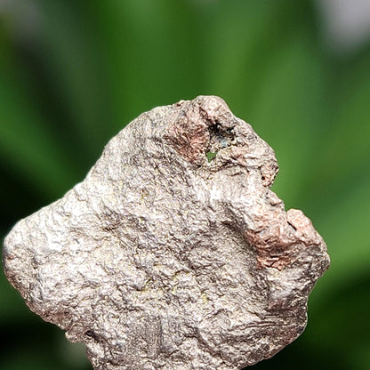 Native Silver Nugget 4g with Natural HOLE, Michigan "Halfbreed" Silver Ore
