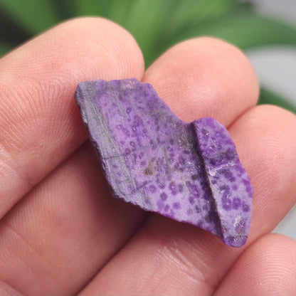 Purple Sugilite Crystal 2.5g, South African Sugilite OLD STOCK