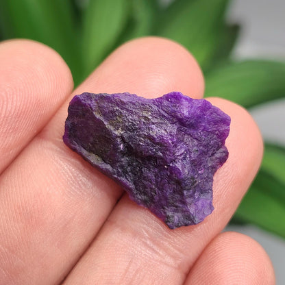 Raw Gel Sugilite Crystal 2.5g, South African Sugilite OLD STOCK
