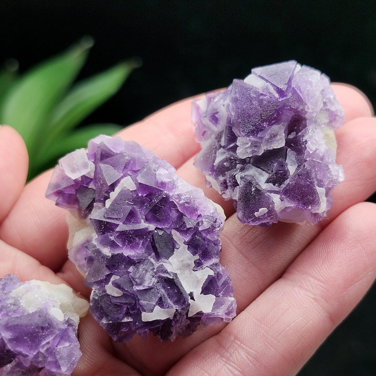 Lavender Purple Fluorite Cluster: UV Reactive, Fluorite with Calcite Mineral Specimen