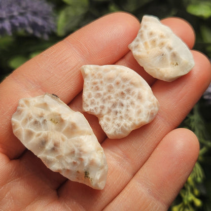 Pink Natrolite Crystal, (.75