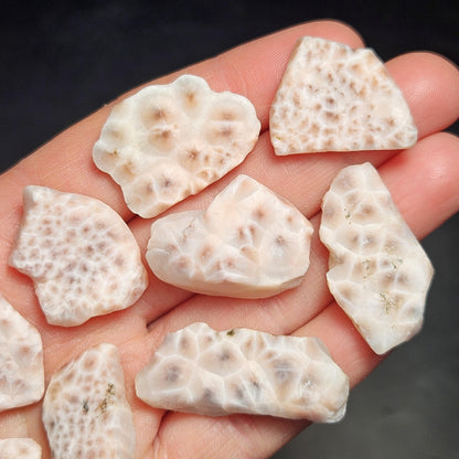 Pink Natrolite Crystal, (.75