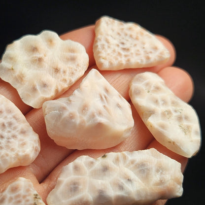 Pink Natrolite Crystal, (.75