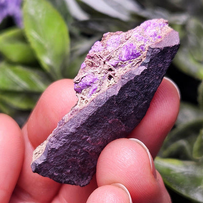 Fibrous Sugilite Specimen: Raw South African Sugilite