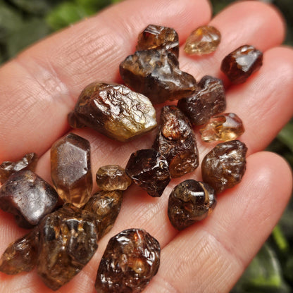 Champagne Zircon Crystal from Nigeria, Alluvial River