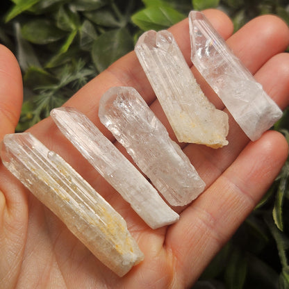 Raw Danburite Crystal (40mm): Large Terminated Mexican Danburite Blade