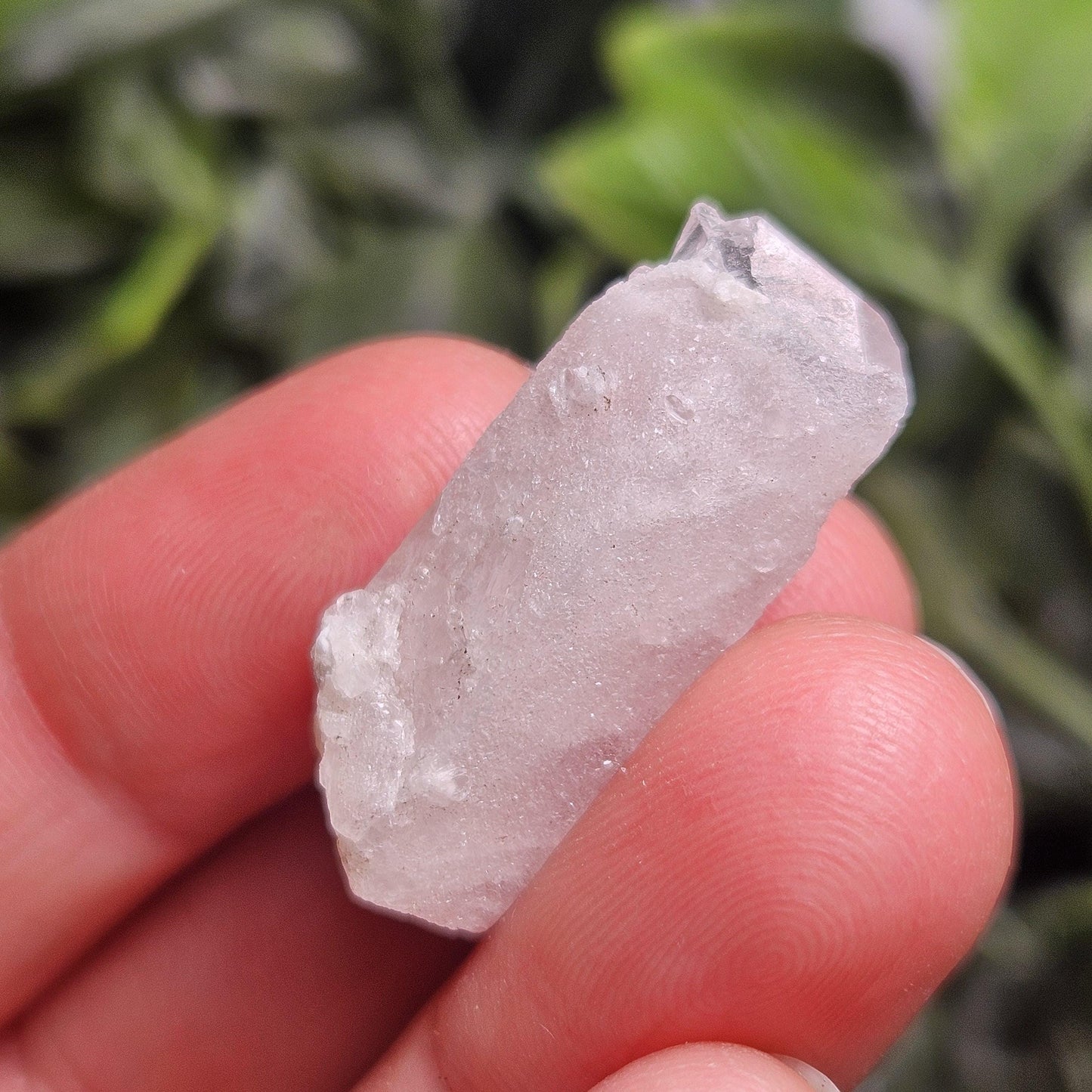 Sugar Danburite Crystal Specimen: Raw Mexican Danburite with Quartz Druzy