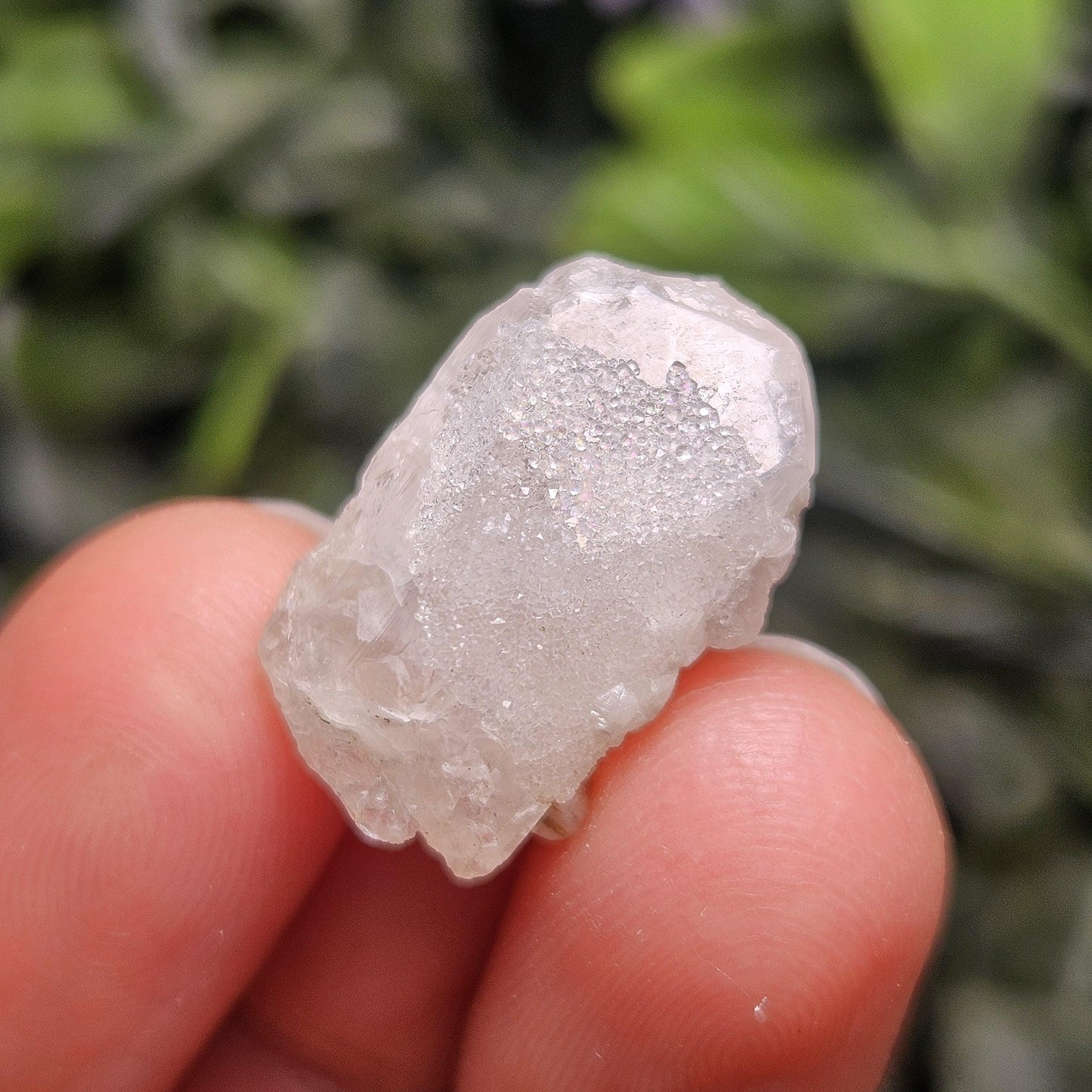 Sugar Danburite Crystal Specimen: Raw Mexican Danburite with Quartz Druzy