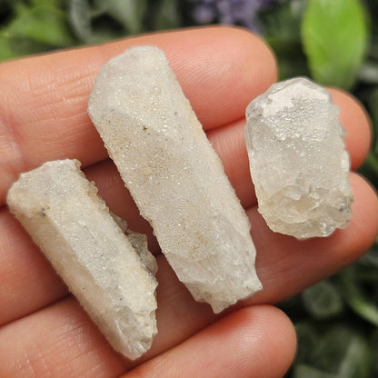 Sugar Danburite Crystal Specimen: Raw Mexican Danburite with Quartz Druzy