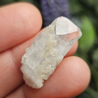 Sugar Danburite Crystal Specimen: Raw Mexican Danburite with Quartz Druzy