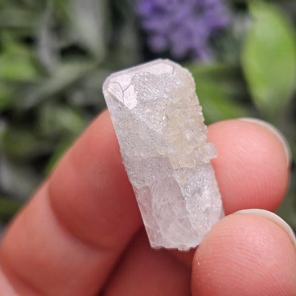 Sugar Danburite Crystal Specimen: Raw Mexican Danburite with Quartz Druzy
