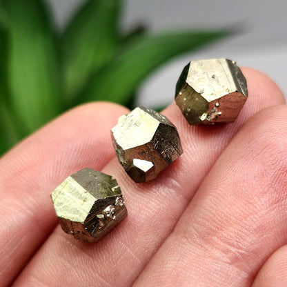 Pyrite Crystal from Spain, Raw Fool's Gold Specimen