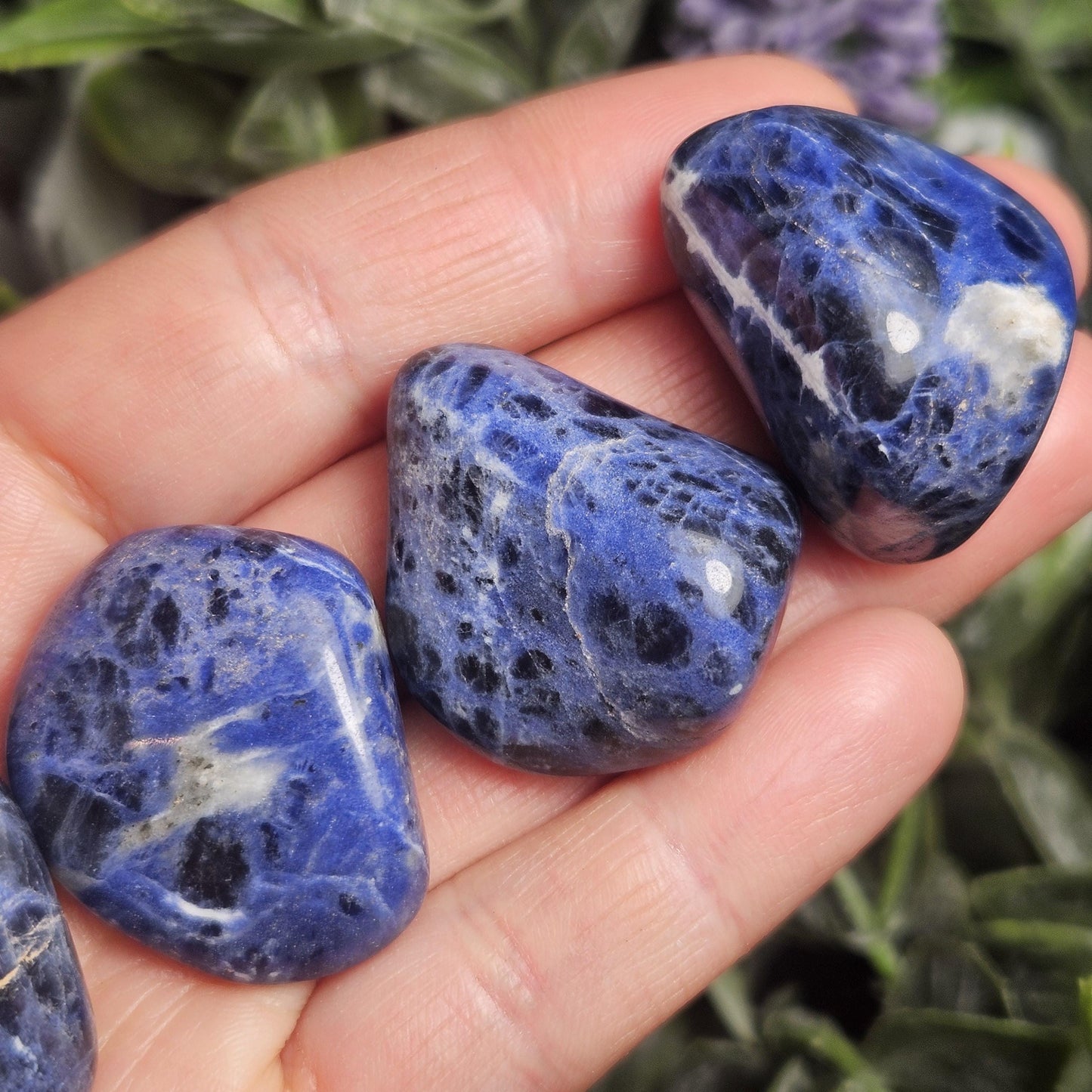 Sodalite Crystal Specimen (.75
