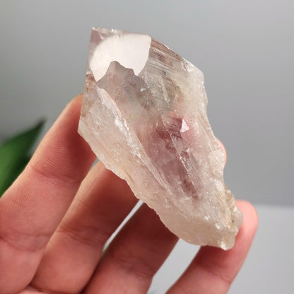UV Phantom Powellite Amethyst 58g, Bahia Brazil Crystal