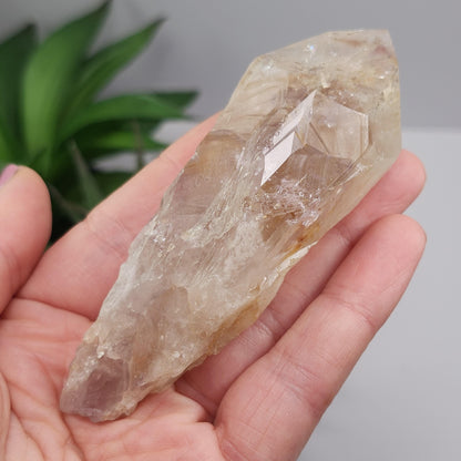 UV Phantom Amethyst Crystal 103g, Ultraviolet Phantom Quartz Specimen