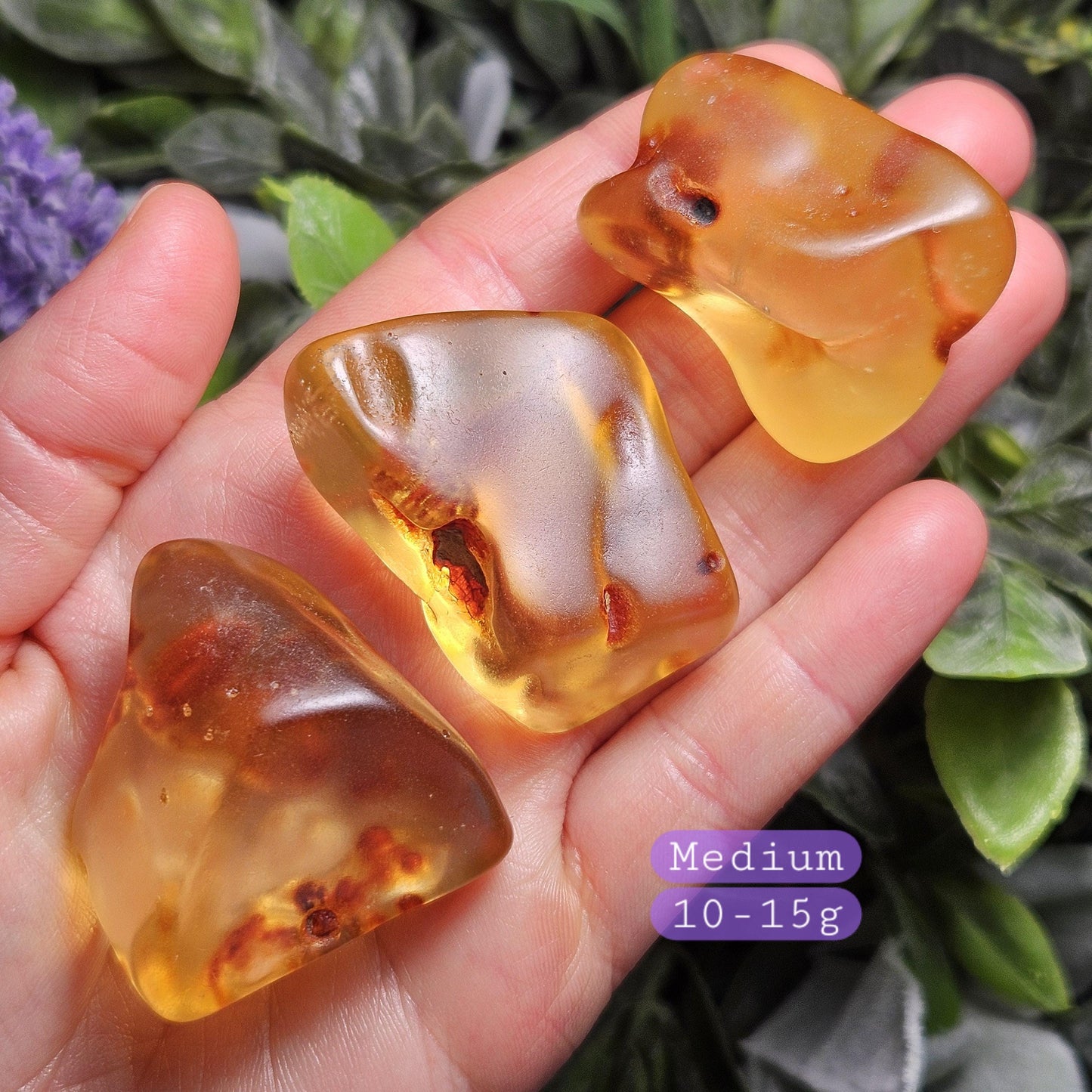 Polished Amber Specimen, Colombian Young Amber, Copal Fossil