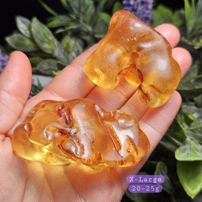 Polished Amber Specimen, Colombian Young Amber, Copal Fossil