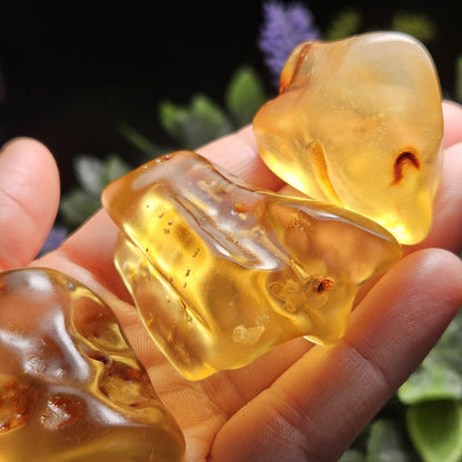 Polished Amber Specimen, Colombian Young Amber, Copal Fossil