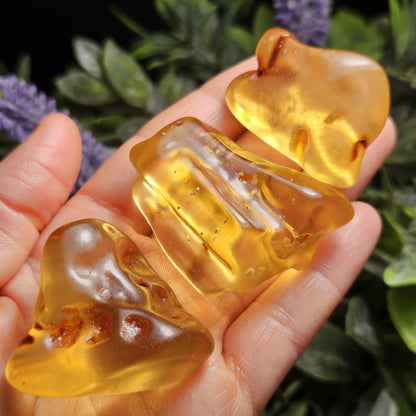 Polished Amber Specimen, Colombian Young Amber, Copal Fossil