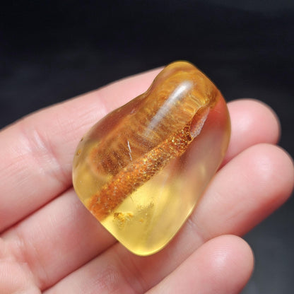 Polished Amber Specimen, Colombian Young Amber, Copal Fossil
