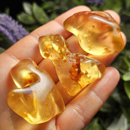 Polished Amber Specimen, Colombian Young Amber, Copal Fossil