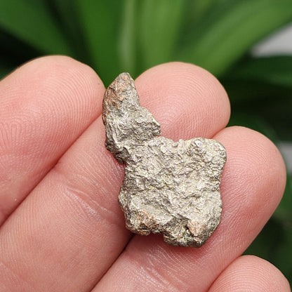 Native Silver Nugget 4g with Natural HOLE, Michigan "Halfbreed" Silver Ore