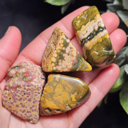 Orbicular Ocean Jasper Tumbled Stone, Natural Polished Kabamby Ocean Jasper Crystal from Madagascar