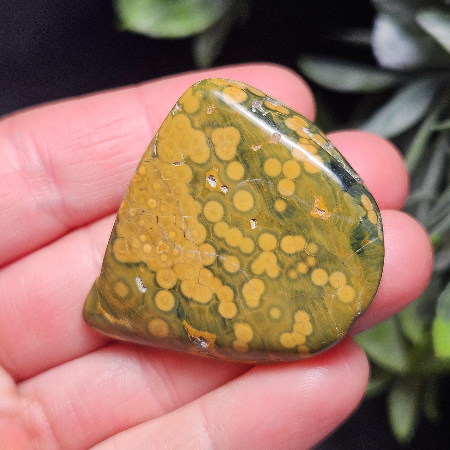 Orbicular Ocean Jasper Tumbled Stone, Natural Polished Kabamby Ocean Jasper Crystal from Madagascar