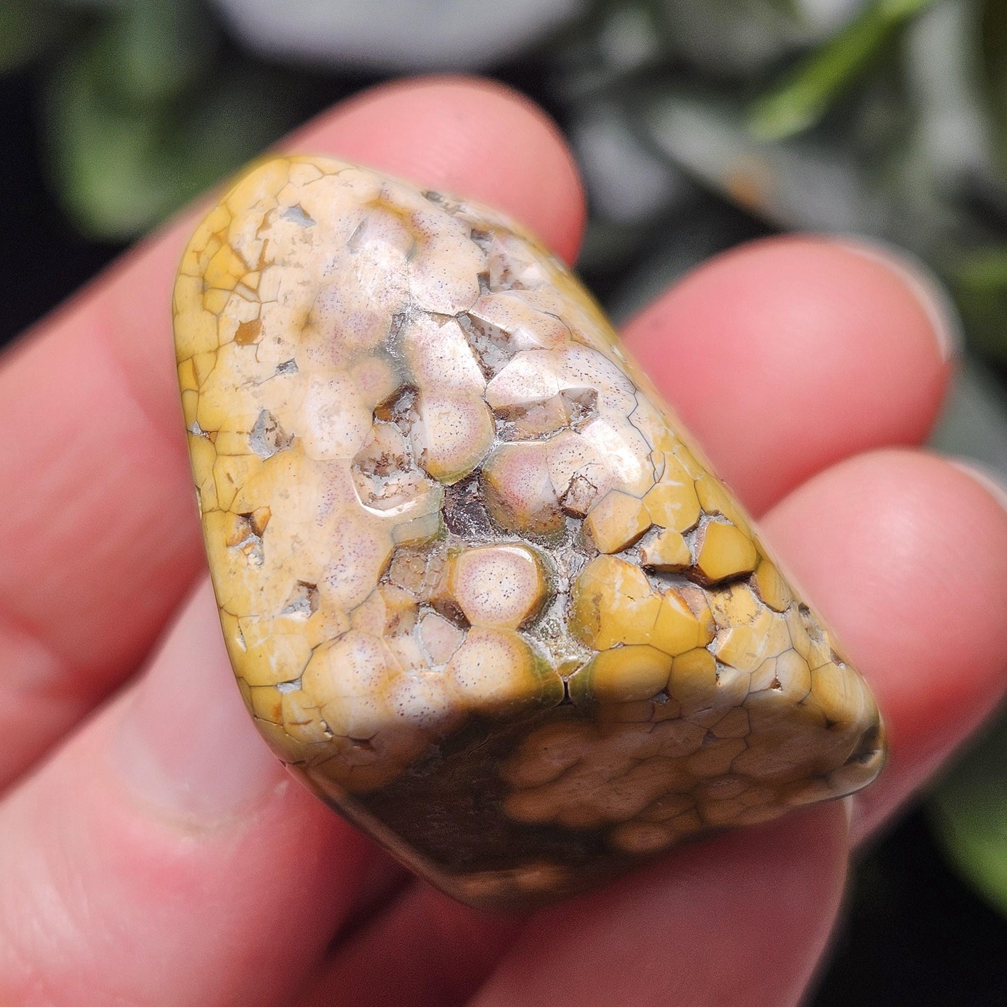 Orbicular Ocean Jasper Tumbled Stone, Natural Polished Kabamby Ocean Jasper Crystal from Madagascar