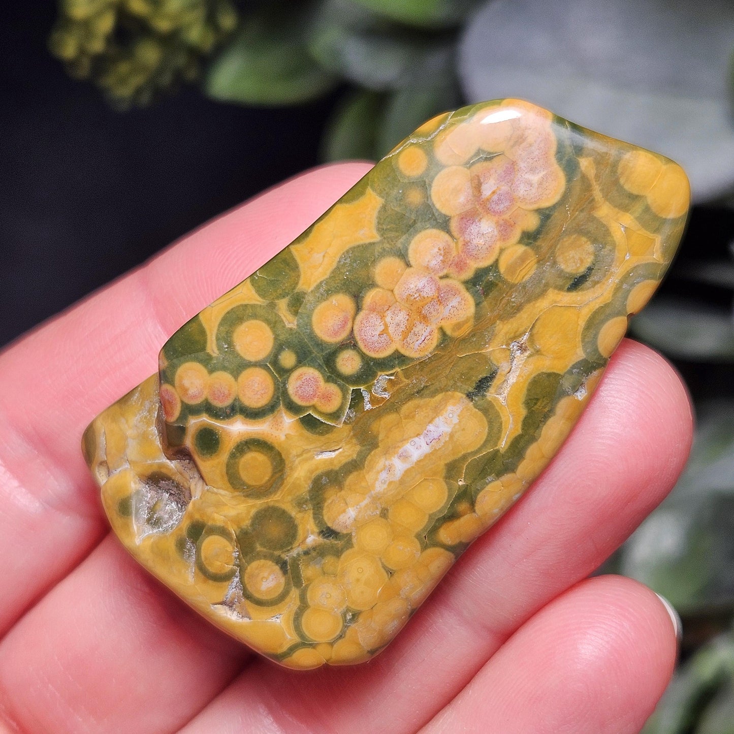Orbicular Ocean Jasper Tumbled Stone, Natural Polished Kabamby Ocean Jasper Crystal from Madagascar