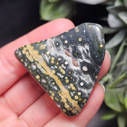 Orbicular Ocean Jasper Tumbled Stone, Natural Polished Kabamby Ocean Jasper Crystal from Madagascar