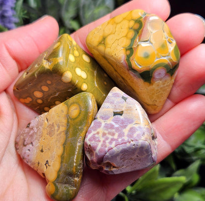 Orbicular Ocean Jasper Tumbled Stone, Natural Polished Kabamby Ocean Jasper Crystal from Madagascar