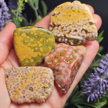 Orbicular Ocean Jasper Tumbled Stone, Natural Polished Kabamby Ocean Jasper Crystal from Madagascar