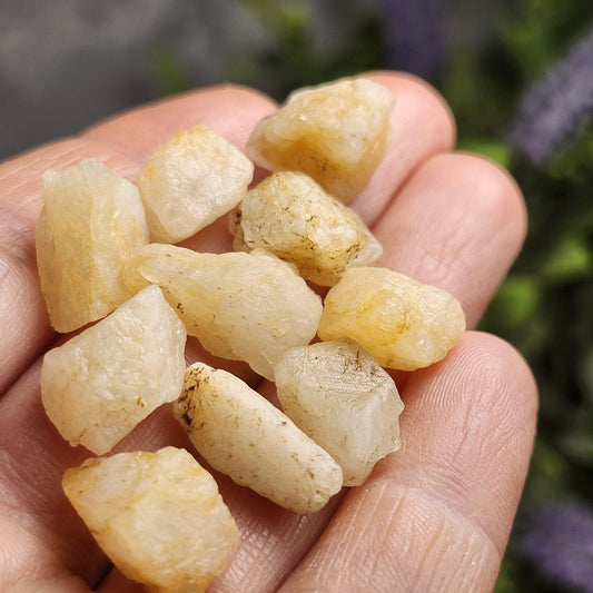 May include: A handful of raw, rough-cut citrine crystals. The stones vary in size and shape, with a pale yellow to golden color. Some have small dark inclusions. The crystals are held in a person's hand, with a blurred green and purple background.