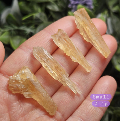 Golden Dogtooth Calcite, Honey Calcite Stone from India, RARE UV Reactive Crystal Specimen
