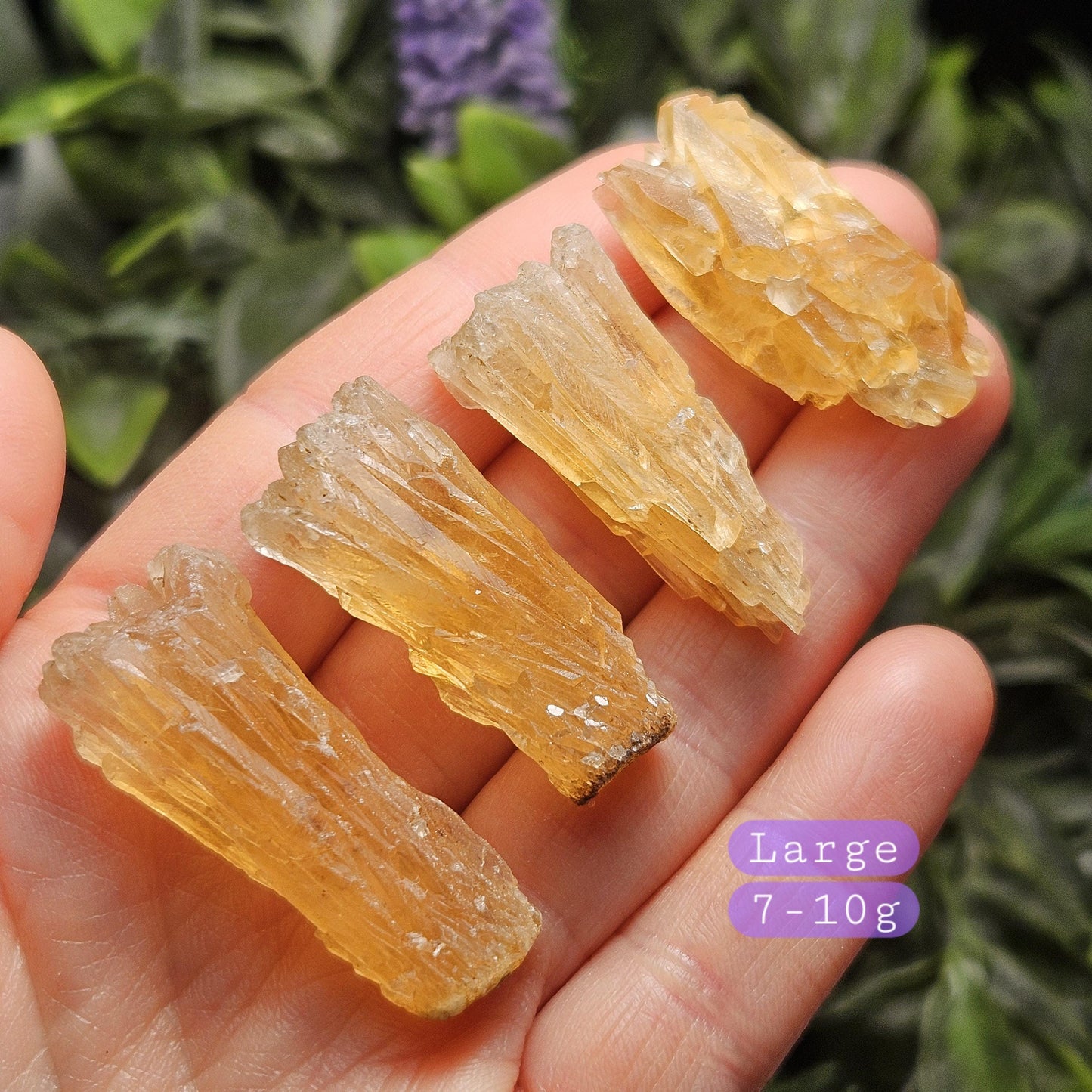 Golden Dogtooth Calcite, Honey Calcite Stone from India, RARE UV Reactive Crystal Specimen