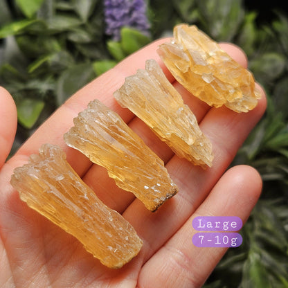 Golden Dogtooth Calcite, Honey Calcite Stone from India, RARE UV Reactive Crystal Specimen