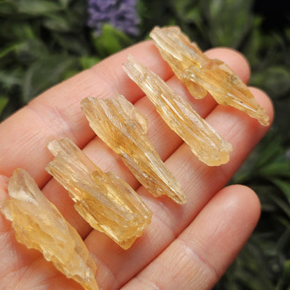 Golden Dogtooth Calcite, Honey Calcite Stone from India, RARE UV Reactive Crystal Specimen