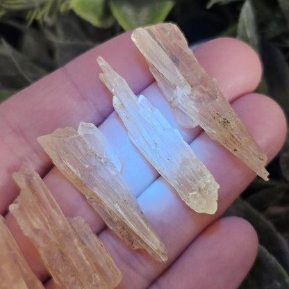Golden Dogtooth Calcite, Honey Calcite Stone from India, RARE UV Reactive Crystal Specimen