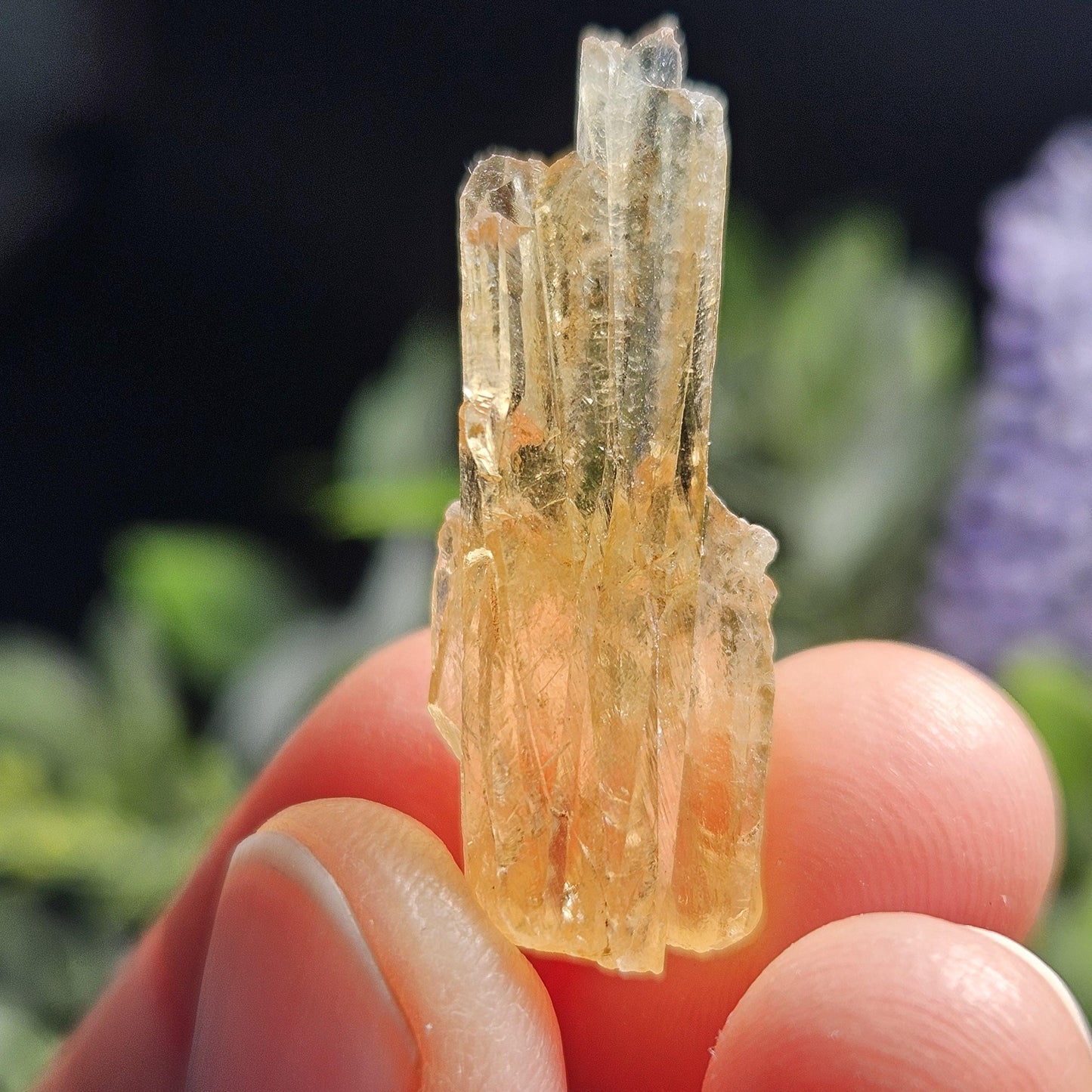 Golden Dogtooth Calcite, Honey Calcite Stone from India, RARE UV Reactive Crystal Specimen