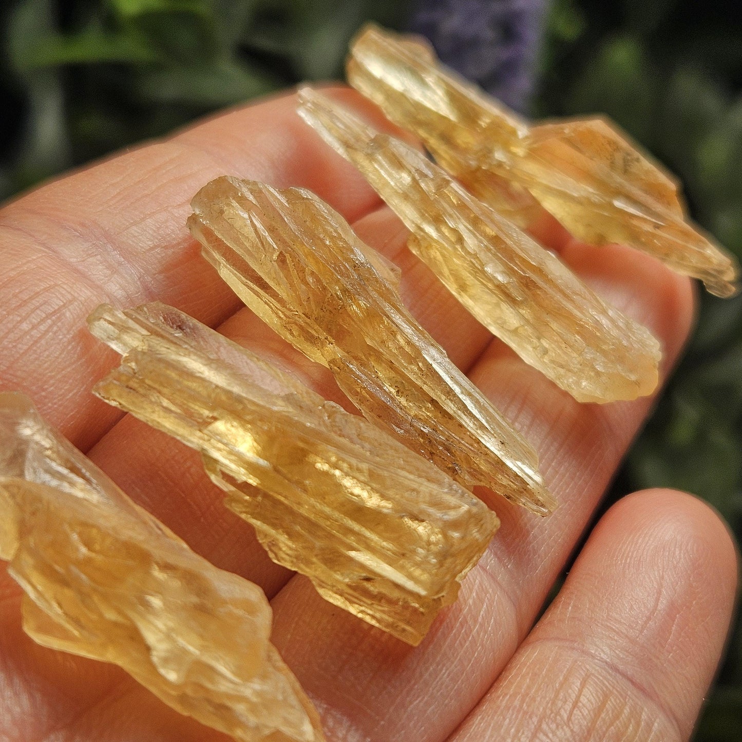 Golden Dogtooth Calcite, Honey Calcite Stone from India, RARE UV Reactive Crystal Specimen